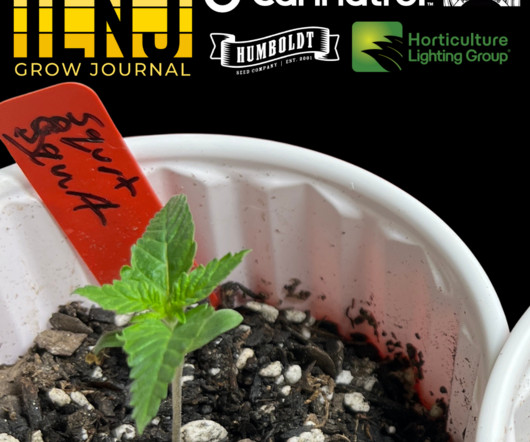 article thumbnail