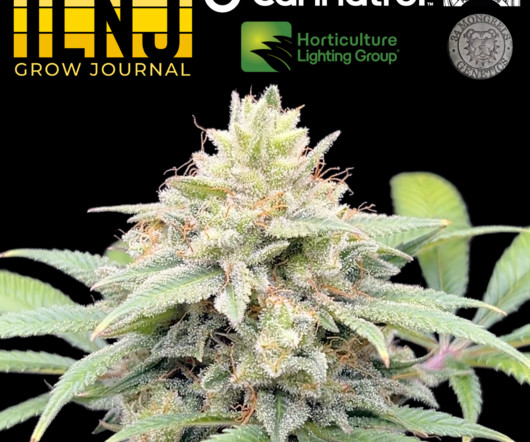 article thumbnail