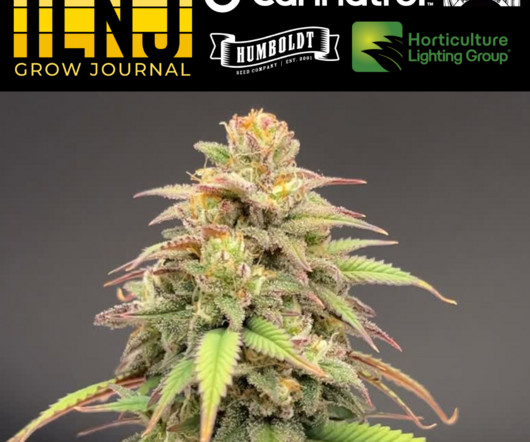 article thumbnail