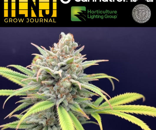 article thumbnail