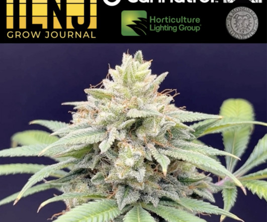 article thumbnail